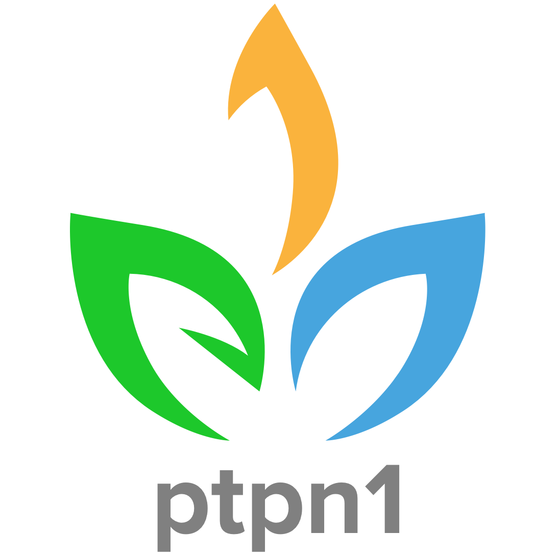 PTPN I